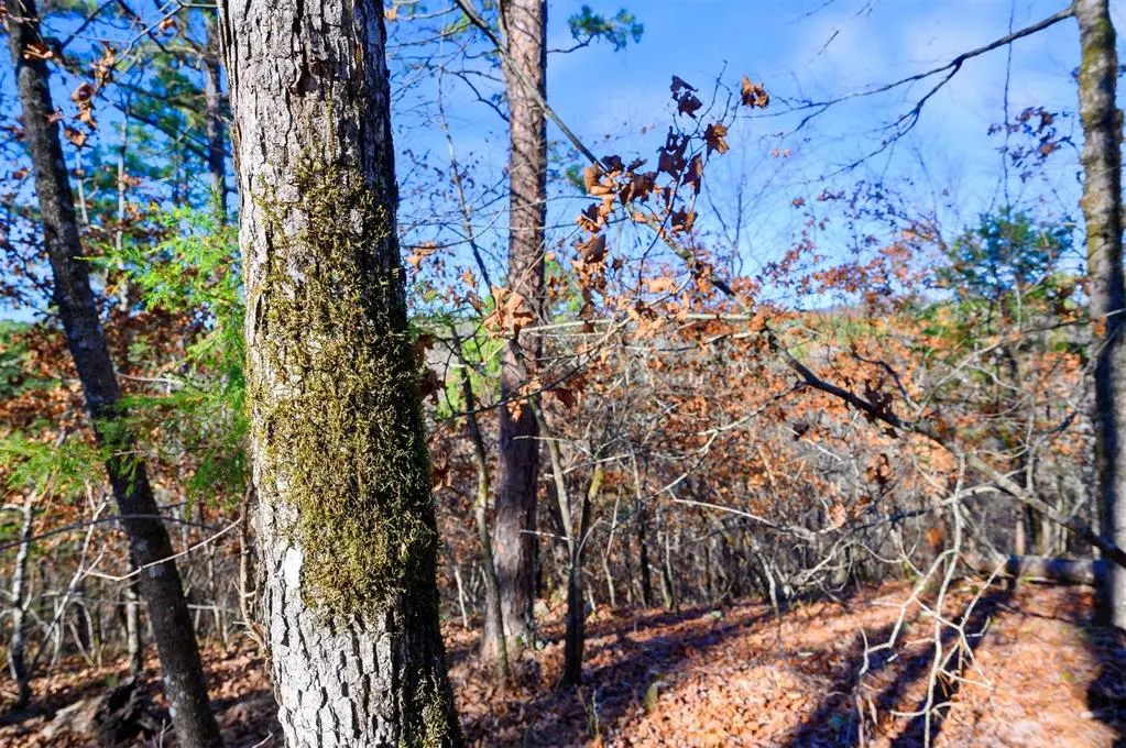 Photo 21 — 6837 Sherwood Road, Broken Bow, OK 74728