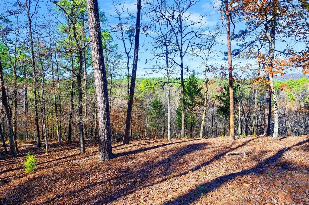 Photo 22 — 6837 Sherwood Road, Broken Bow, OK 74728