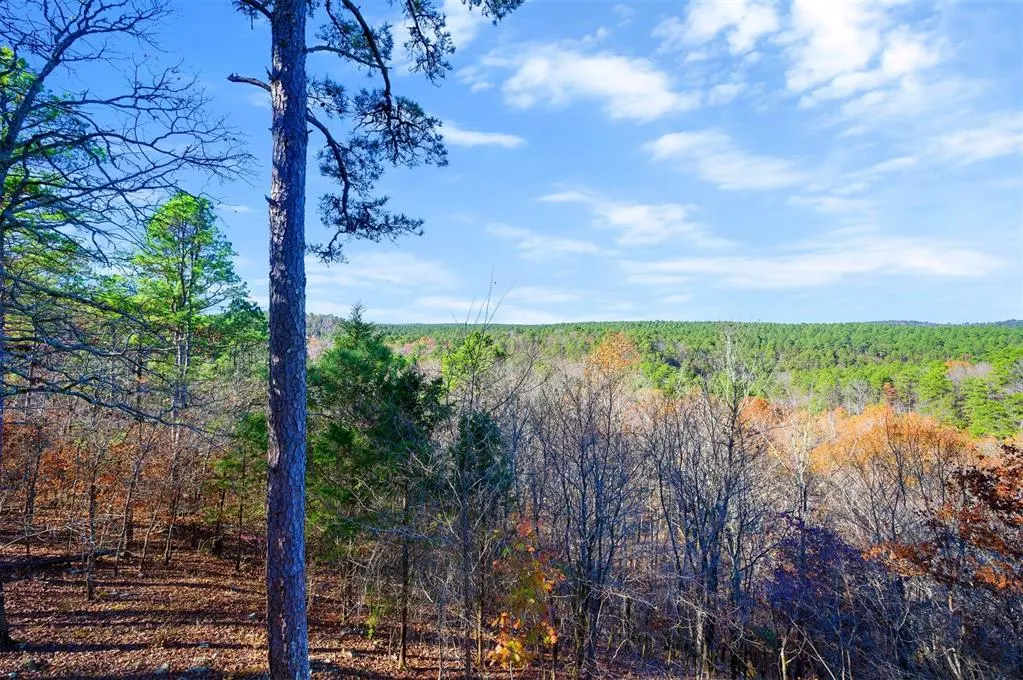 Photo 25 — 6837 Sherwood Road, Broken Bow, OK 74728