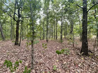 Sold home at 686 Woodland Hills Trail