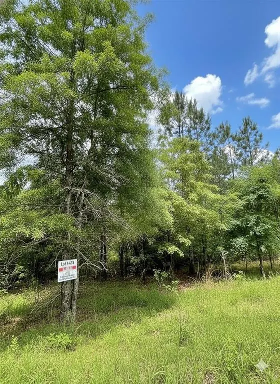 Photo 2 — 659 Timber Creek Trails South XI, Broken Bow, OK 74728
