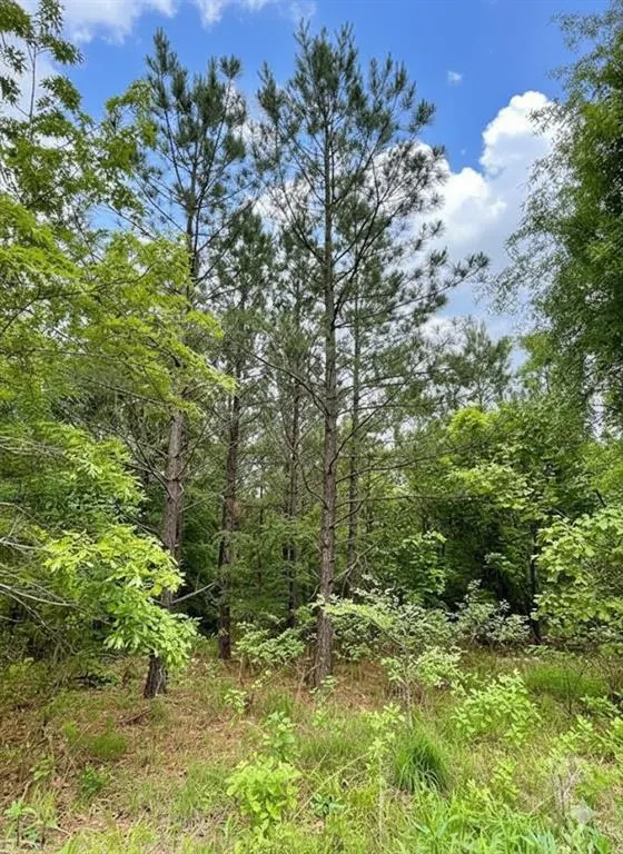 Photo 3 — 659 Timber Creek Trails South XI, Broken Bow, OK 74728