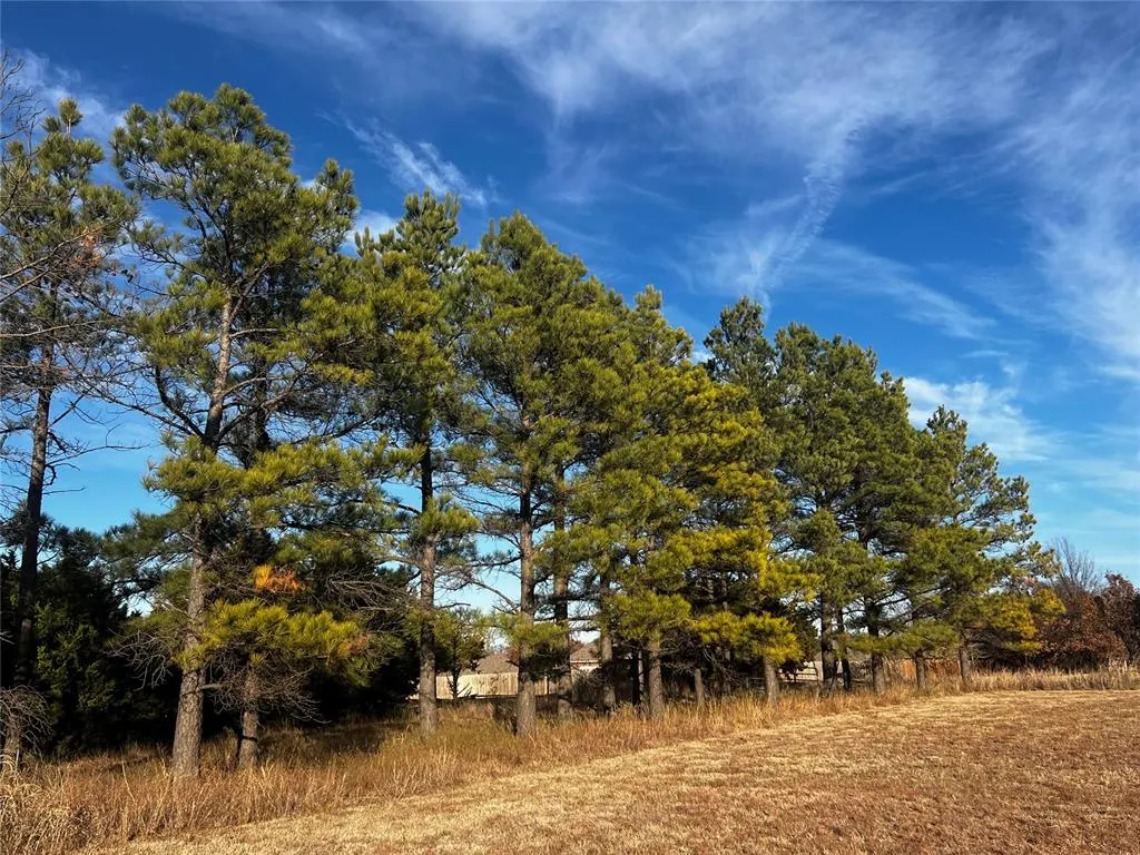 Photo 6 — 11925 Bryant Lane, Guthrie, OK 73044