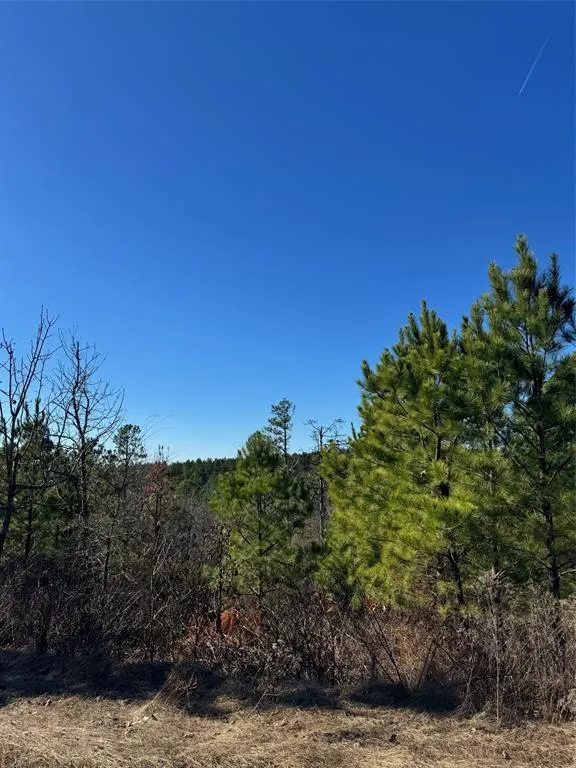 Photo 8 — 131 Charmed Ridge Lane, Broken Bow, OK 74728