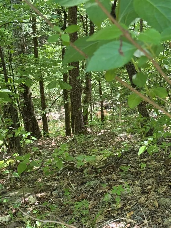 Photo 6 — 131 Charmed Ridge Lane, Broken Bow, OK 74728