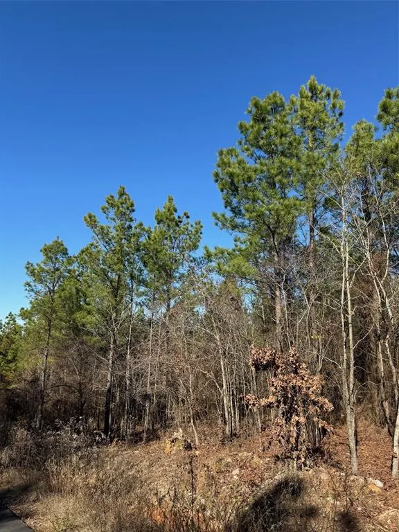 Photo 2 — 63 Acorn Court, Broken Bow, OK 74728