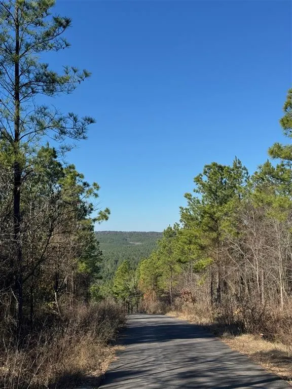 Photo 3 — 63 Acorn Court, Broken Bow, OK 74728