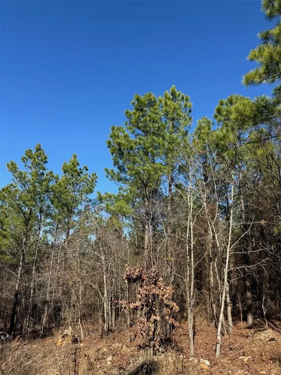 Photo 4 — 63 Acorn Court, Broken Bow, OK 74728