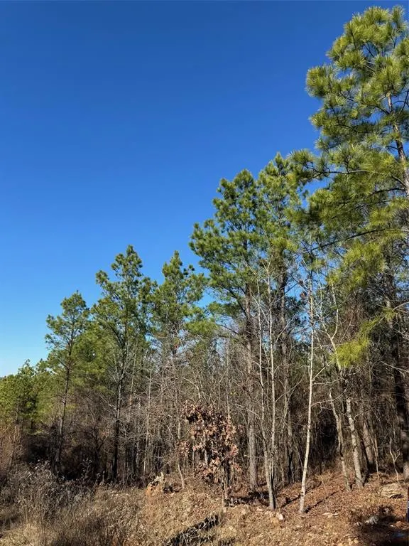 Photo 5 — 63 Acorn Court, Broken Bow, OK 74728