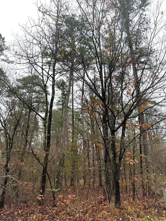 Front exterior — 209 Timber Creek Trail, Broken Bow, OK 74728