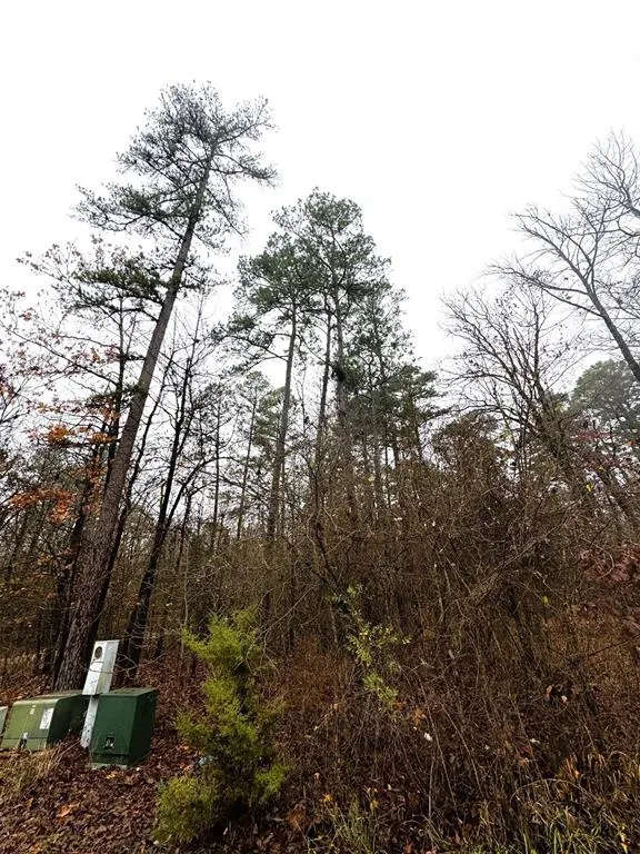 Photo 2 — 209 Timber Creek Trail, Broken Bow, OK 74728