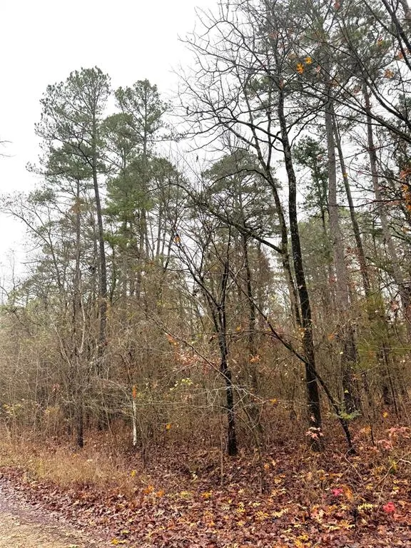 Photo 3 — 209 Timber Creek Trail, Broken Bow, OK 74728