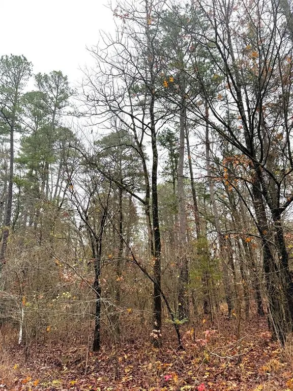 Photo 4 — 209 Timber Creek Trail, Broken Bow, OK 74728