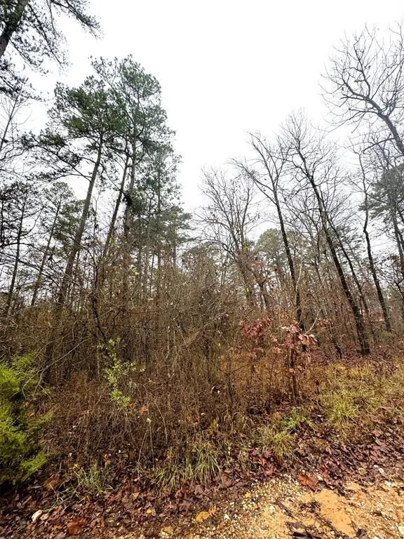 Photo 5 — 209 Timber Creek Trail, Broken Bow, OK 74728