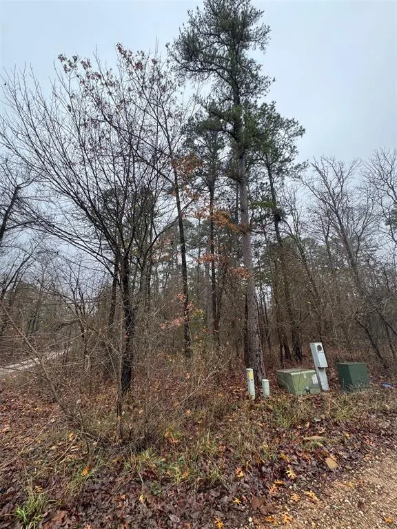 Photo 6 — 209 Timber Creek Trail, Broken Bow, OK 74728