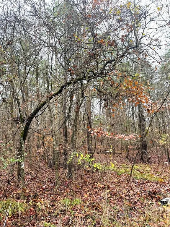 Photo 8 — 209 Timber Creek Trail, Broken Bow, OK 74728