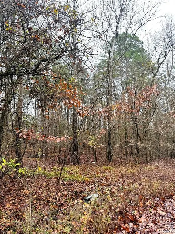 Photo 9 — 209 Timber Creek Trail, Broken Bow, OK 74728