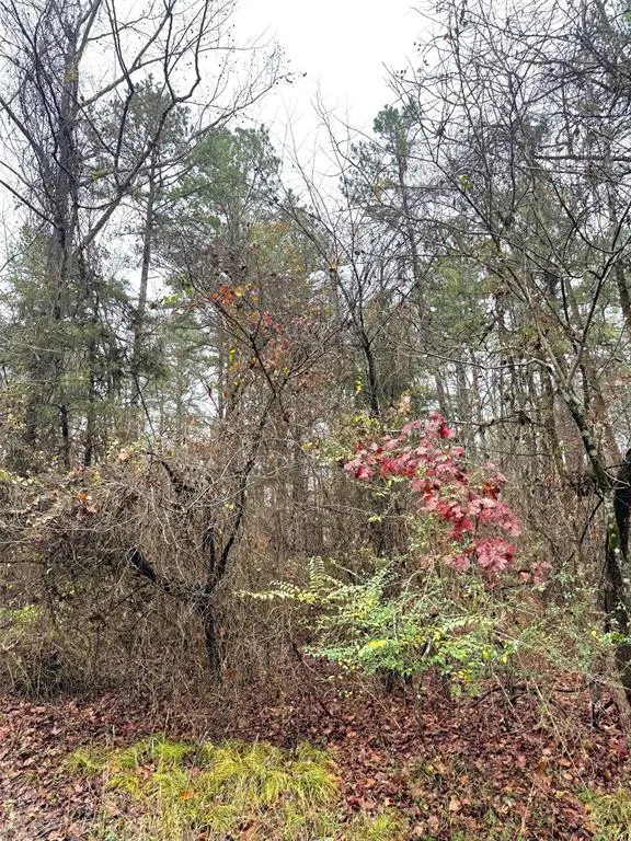 Photo 10 — 209 Timber Creek Trail, Broken Bow, OK 74728