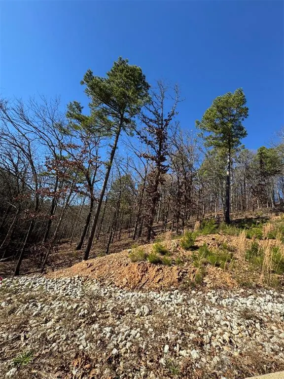 Front exterior — 253 Western Pine Trail, Broken Bow, OK 74728