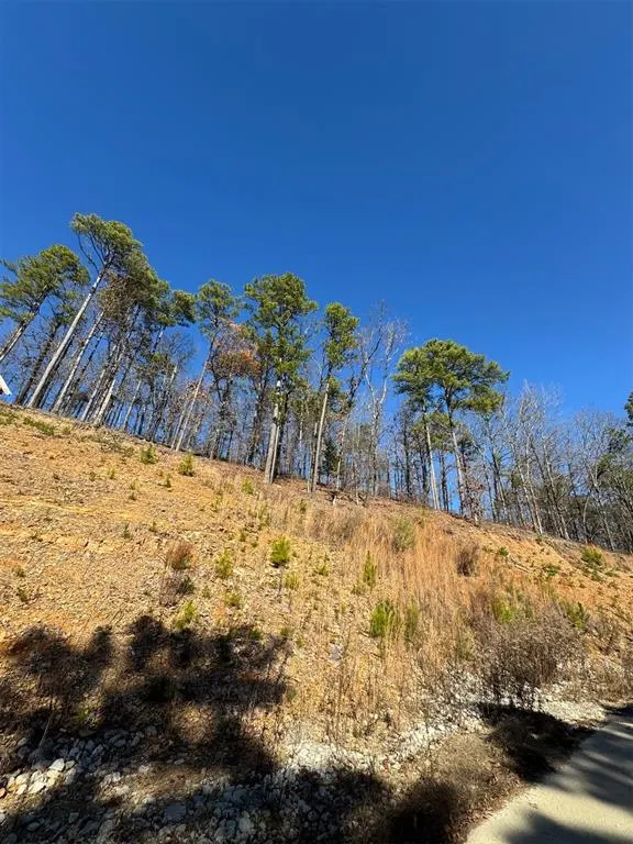 Photo 2 — 253 Western Pine Trail, Broken Bow, OK 74728