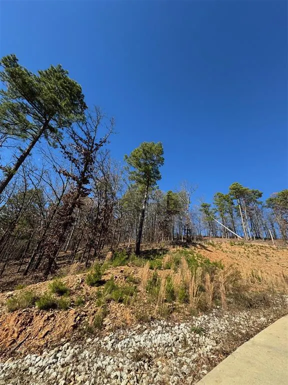 Photo 3 — 253 Western Pine Trail, Broken Bow, OK 74728
