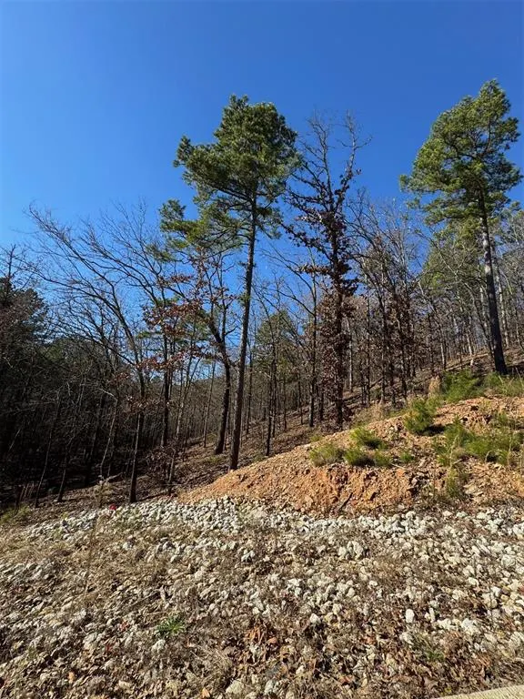 Photo 4 — 253 Western Pine Trail, Broken Bow, OK 74728