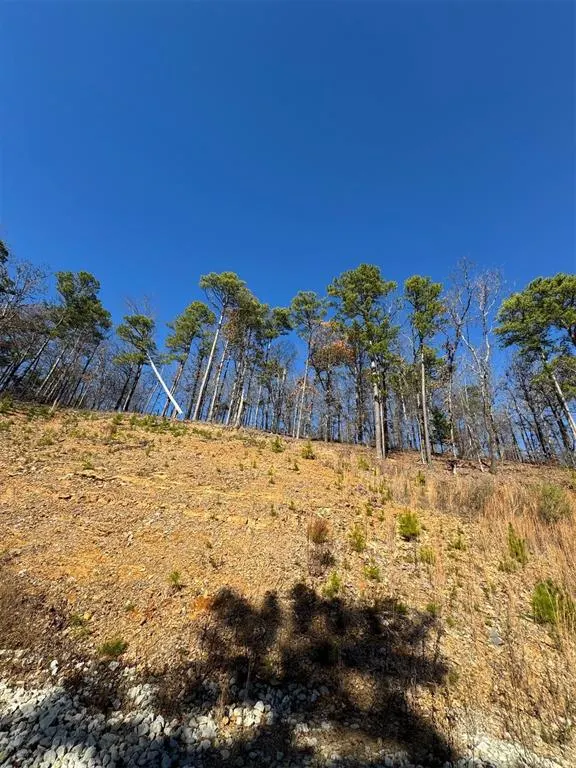 Photo 5 — 253 Western Pine Trail, Broken Bow, OK 74728