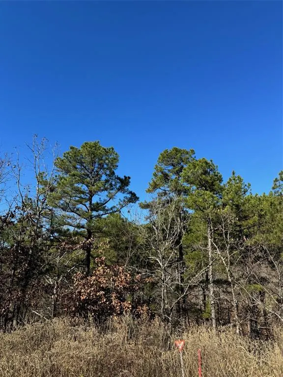 Front exterior — 43 Western Maple Court, Broken Bow, OK 74728