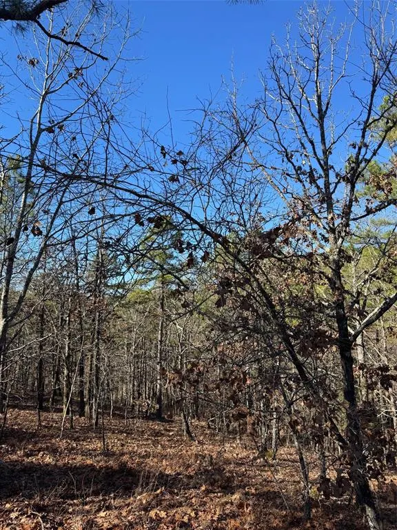 Photo 2 — 43 Western Maple Court, Broken Bow, OK 74728