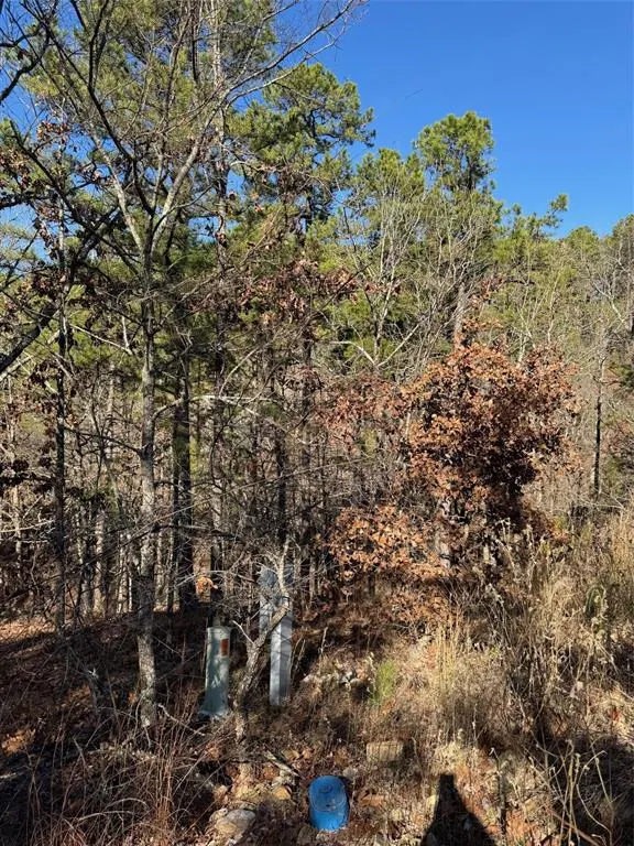 Photo 3 — 43 Western Maple Court, Broken Bow, OK 74728
