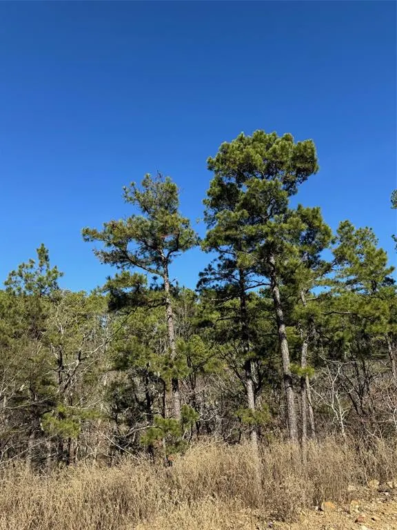Photo 4 — 43 Western Maple Court, Broken Bow, OK 74728