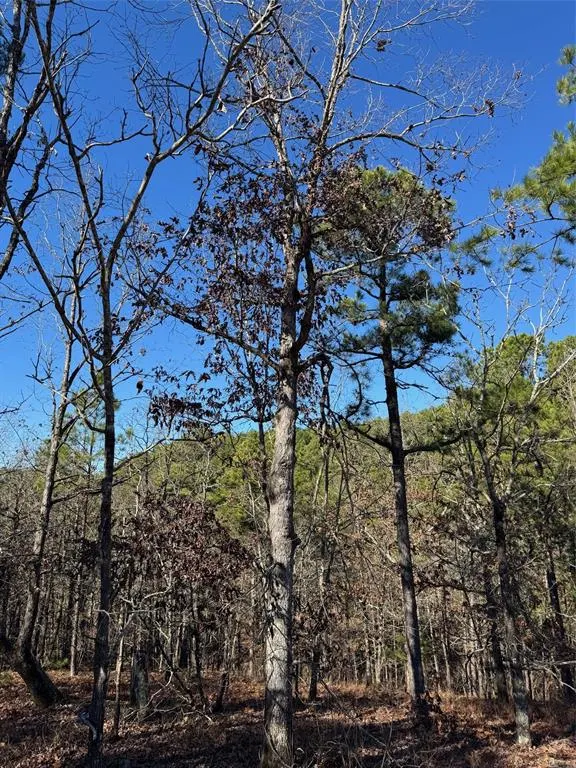 Photo 5 — 43 Western Maple Court, Broken Bow, OK 74728