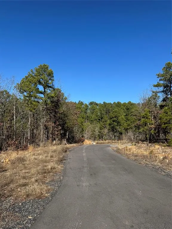 Photo 6 — 43 Western Maple Court, Broken Bow, OK 74728