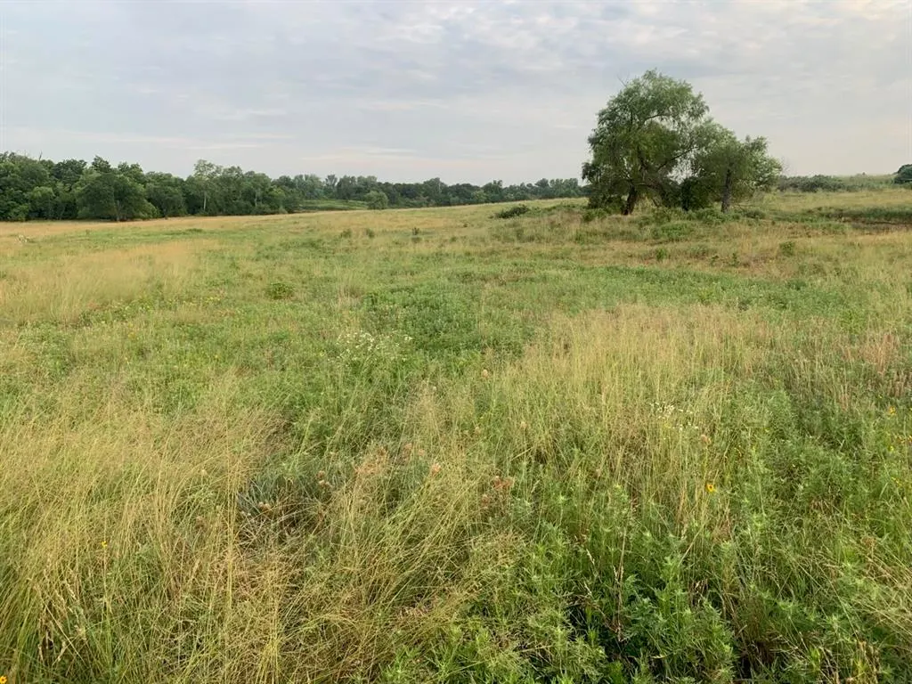 Photo 12 — Dobbs Road, Newalla, OK 74857