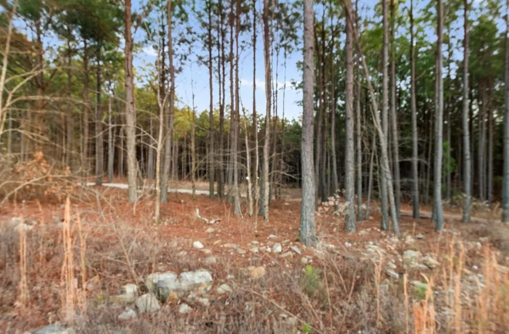 Photo 3 — 594 Timbuktu Trail, Broken Bow, OK 74728