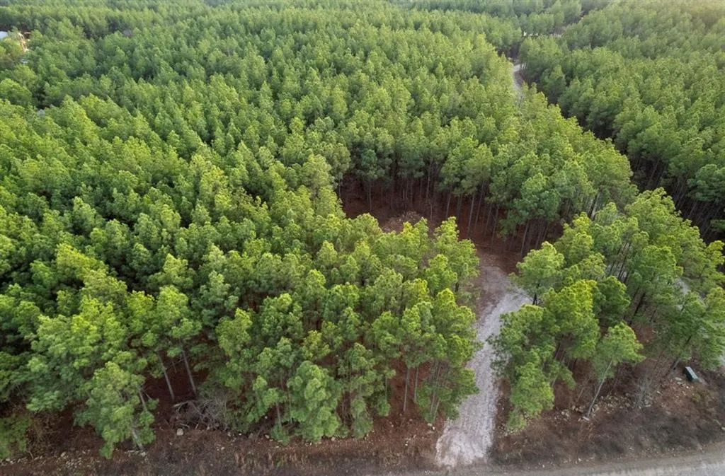 Photo 8 — 594 Timbuktu Trail, Broken Bow, OK 74728