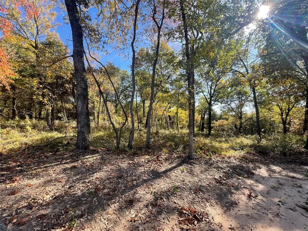 Photo 10 — 142 Patriot Pointe, Eufaula, OK 74432