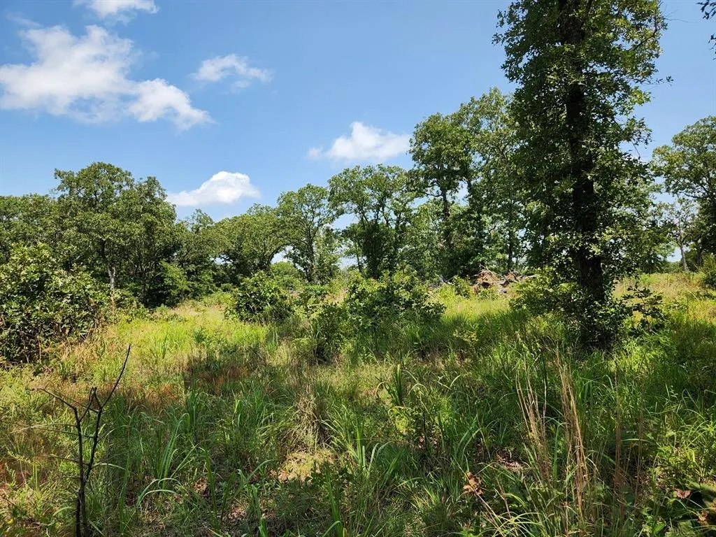 Photo 21 — 00001 EW 1300 Road, Seminole, OK 74868