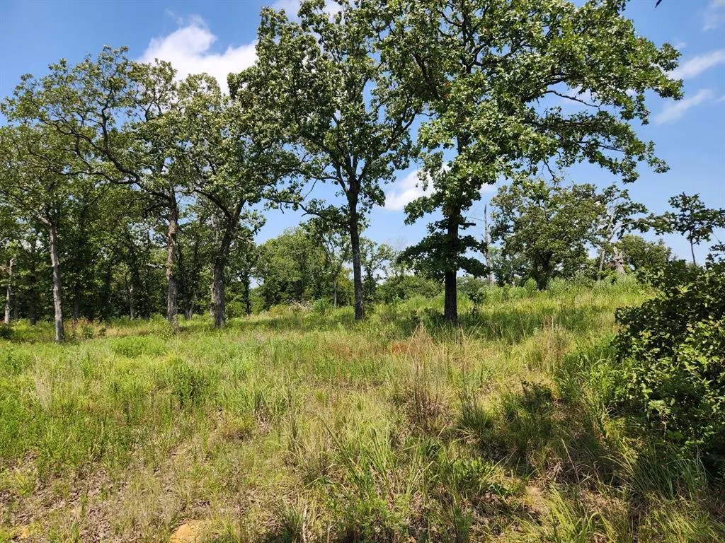 Photo 17 — 00001 EW 1300 Road, Seminole, OK 74868