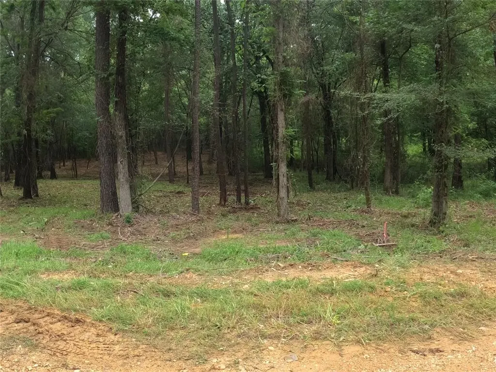 Photo 3 — Fannie Mae Lot 1 Drive, Broken Bow, OK 74728