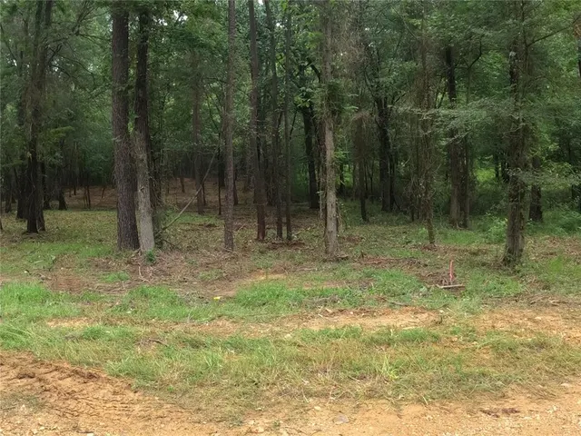 Photo 3 — Fannie Mae Lot 1 Drive, Broken Bow, OK 74728