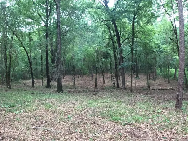 Photo 4 — Fannie Mae Lot 1 Drive, Broken Bow, OK 74728