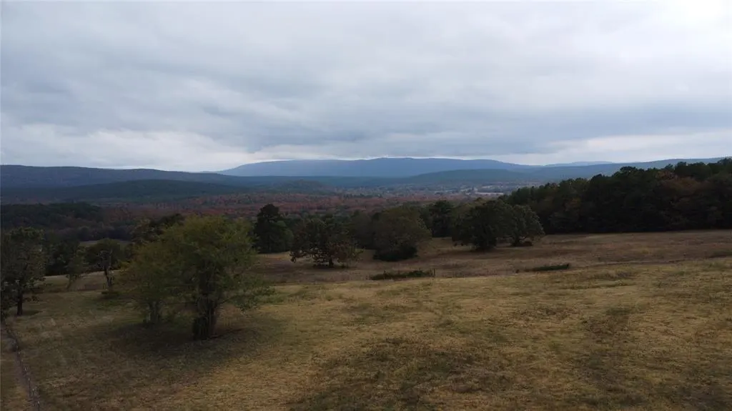 Photo 49 — 31460 Earls Flat Road, Wister, OK 74966