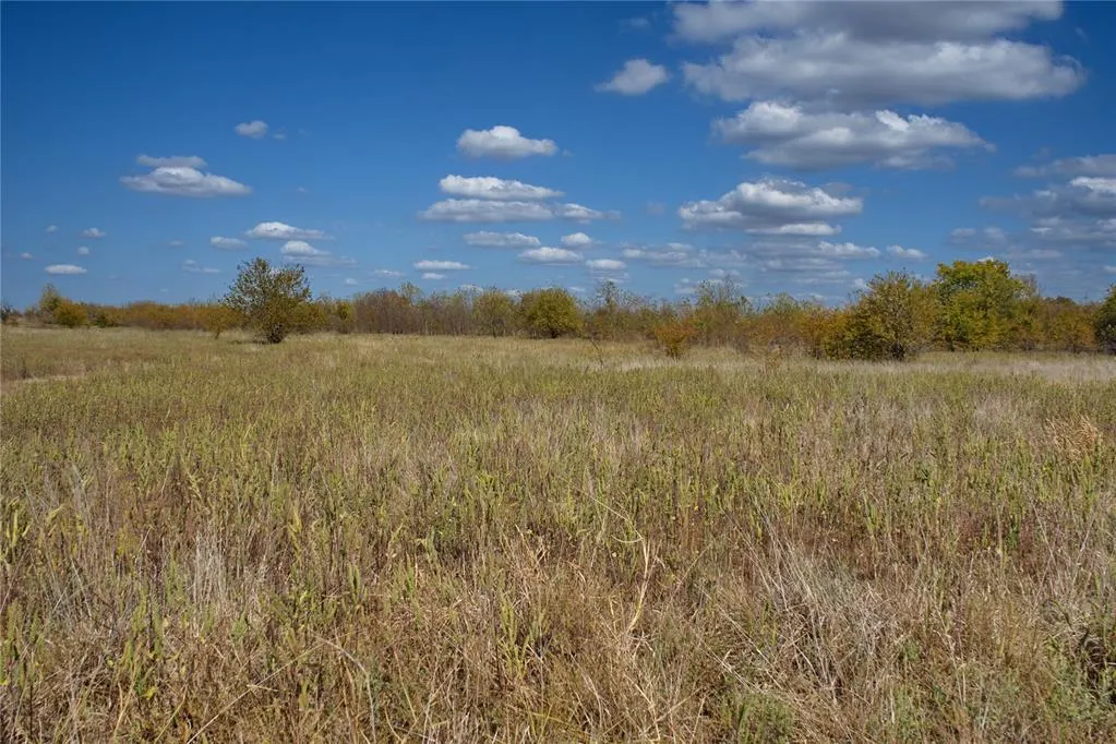 Photo 3 — 6 Freeny Valley Road, Caddo, OK 74729