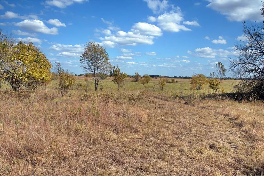 Photo 7 — 6 Freeny Valley Road, Caddo, OK 74729