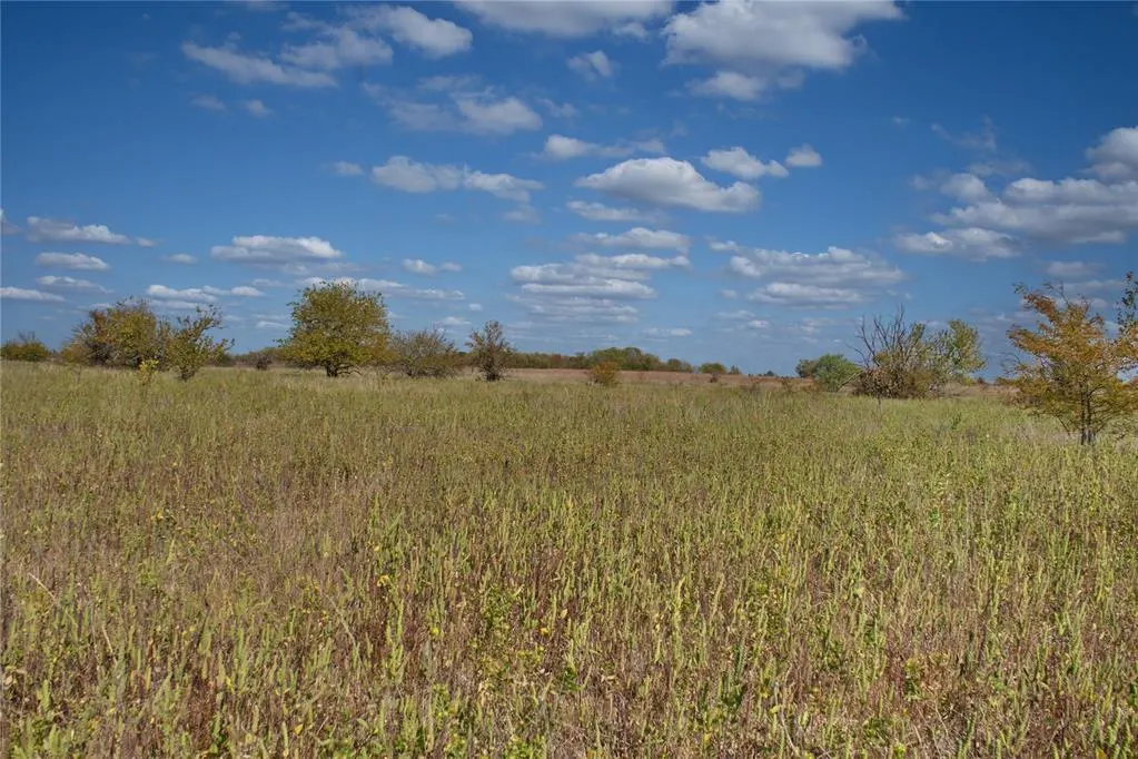 Photo 8 — 6 Freeny Valley Road, Caddo, OK 74729