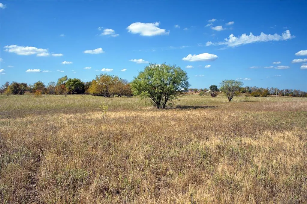 Photo 9 — 6 Freeny Valley Road, Caddo, OK 74729