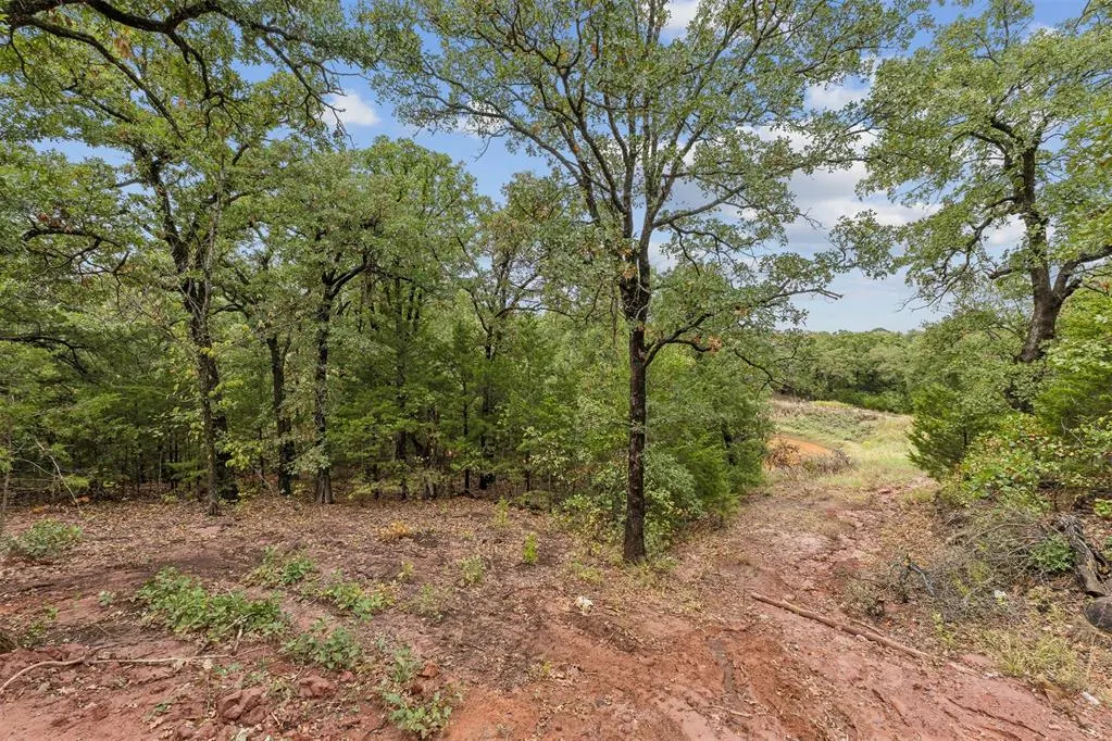 Photo 49 — 11917 Venando Court, Arcadia, OK 73007