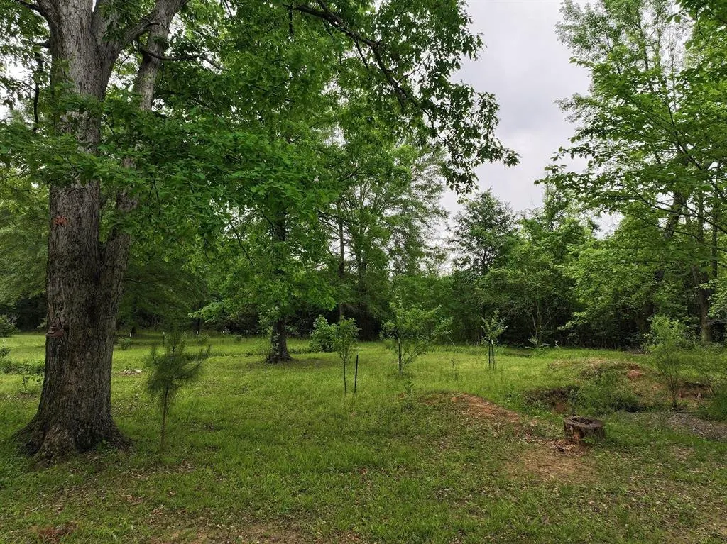 Photo 12 — 2260 Old Military Road, Broken Bow, OK 74728