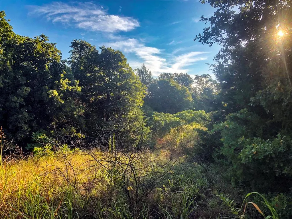Photo 25 — 21725 N Pottawatomie Road, Luther, OK 73054